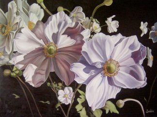 Anemones