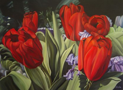 Red Tulips